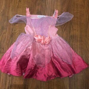 Chasing fireflies princess fairy ballerina costume